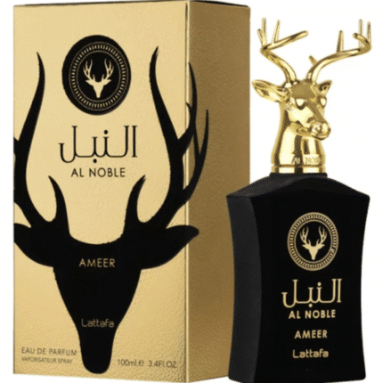 Perfume Ameer 100ml 737996